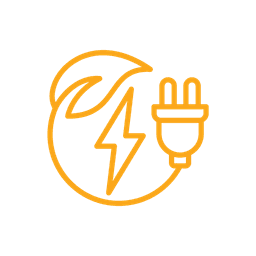 Electricity Distribution Sector